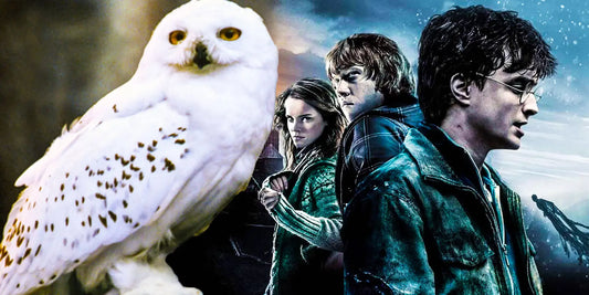 The Feathers of Friendship: Celebrating Hedwig's Legacy